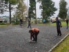 img-0e5dc7dd69c24e5ba578e351d3b09007-v